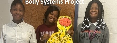 Body Systems Project